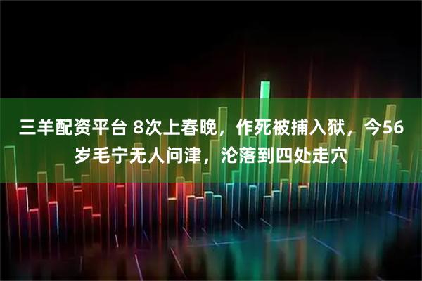 三羊配资平台 8次上春晚，作死被捕入狱，今56岁毛宁无人问津，沦落到四处走穴