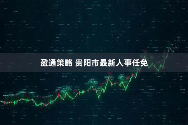 盈通策略 贵阳市最新人事任免
